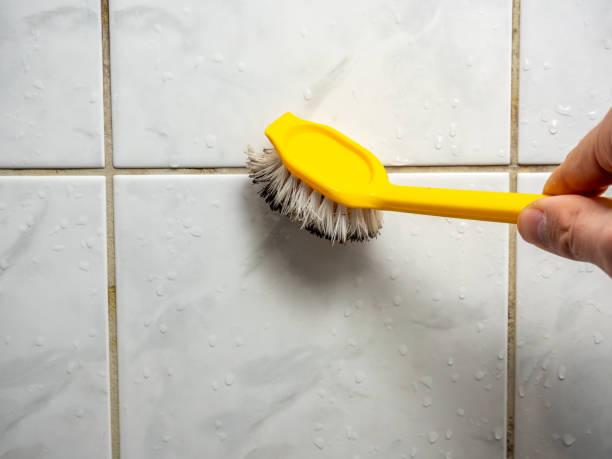 Best Emergency Mold Remediation in Anchorage, AK